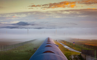 Virgo data to study climate change and the sea