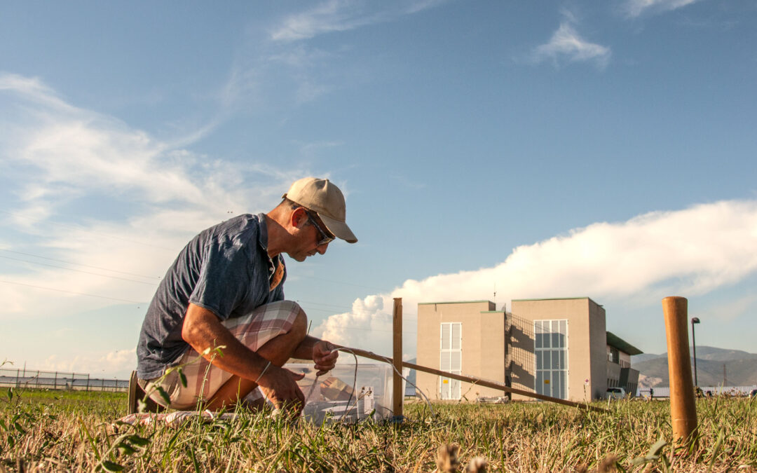 Un’installazione di Land Art sul sito dell’interferometro Virgo – Press Review