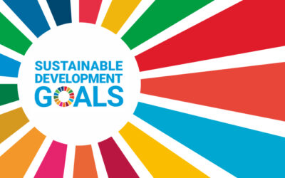 The United Nations promulge The International Year of Basic Sciences for Sustainable Development, EGO in the steering committee