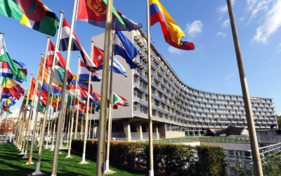 The International Year of Basic Sciences for Sustainable Development officially starts today