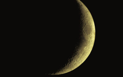 EGO e Virgo al Festival di Astronomia Livorno