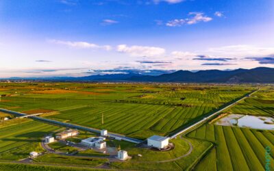 Dieci anni di onde gravitazionali