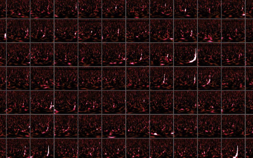 Un caleidoscopio di collisioni cosmiche: il nuovo catalogo dei segnali gravitazionali di LIGO, Virgo e KAGRA