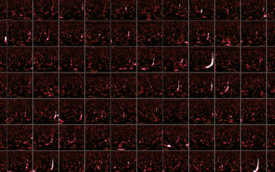 A kaleidoscope of cosmic collisions: the new catalogue of gravitational signals from LIGO, Virgo and KAGRA
